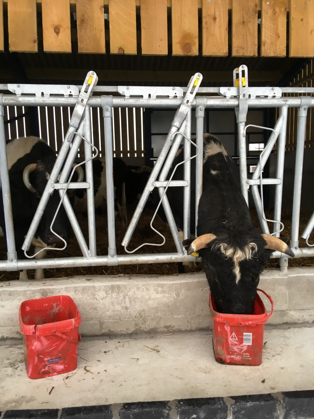 6381638B-36A5-4144-8473-3F45E3CCAF8C