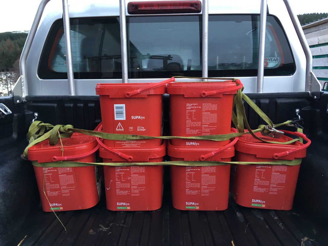 E7C5B9B7-51D3-4872-9B8B-9E021E37BD86