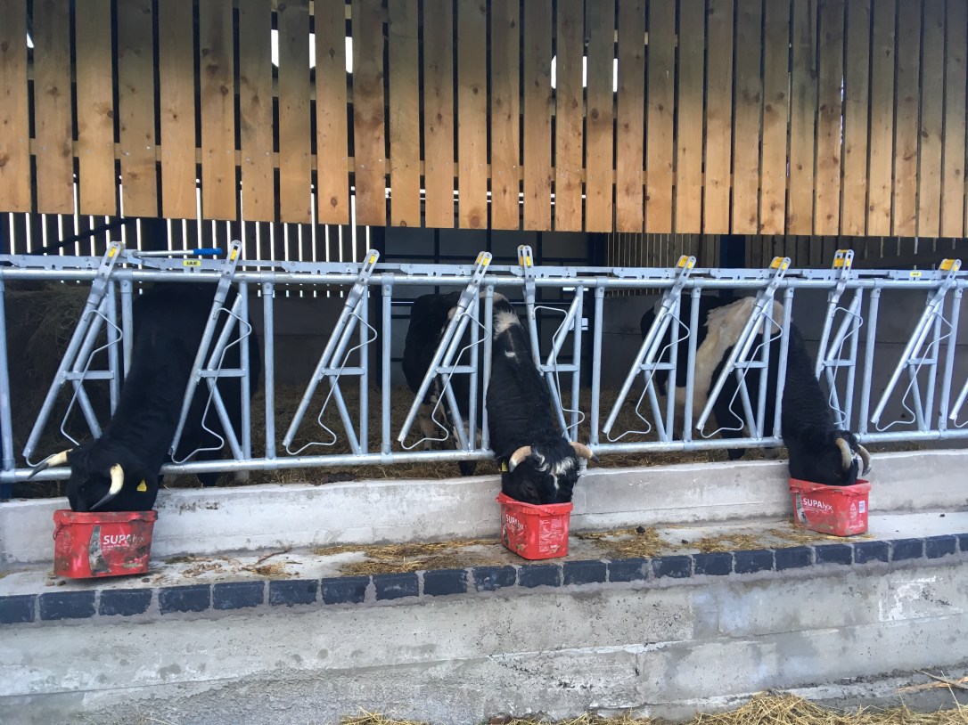 1B8D2F4A-8FB1-45C3-9030-58031466F47C