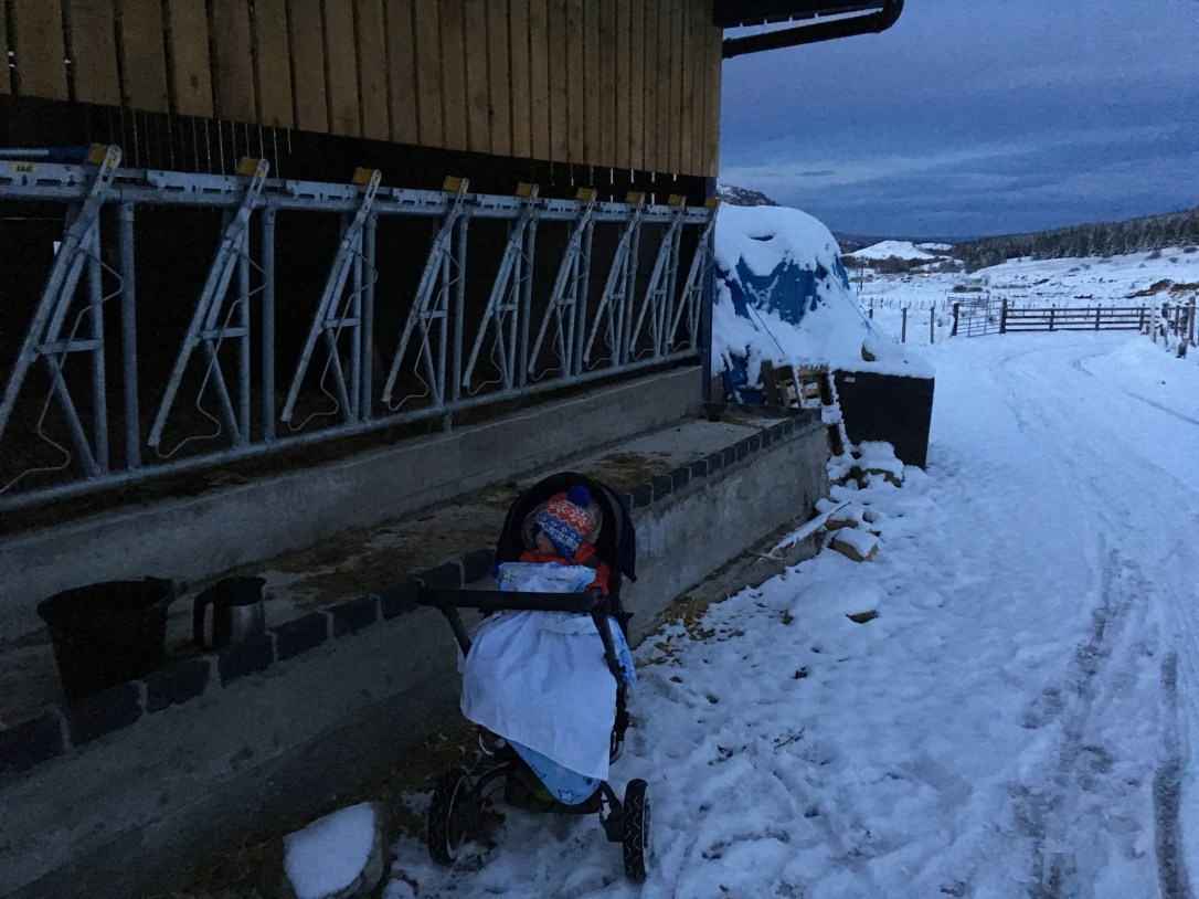 62C69957-9768-4A95-89FE-719221D16AB1