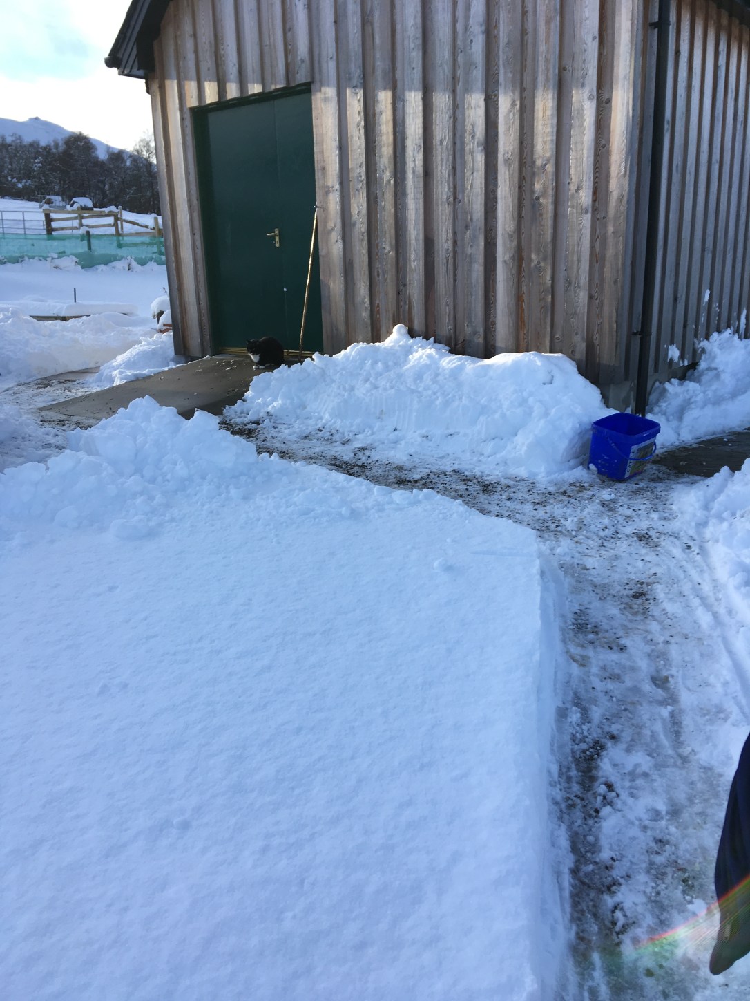 E64F4061-BEEC-4969-B261-60A8D487B59B