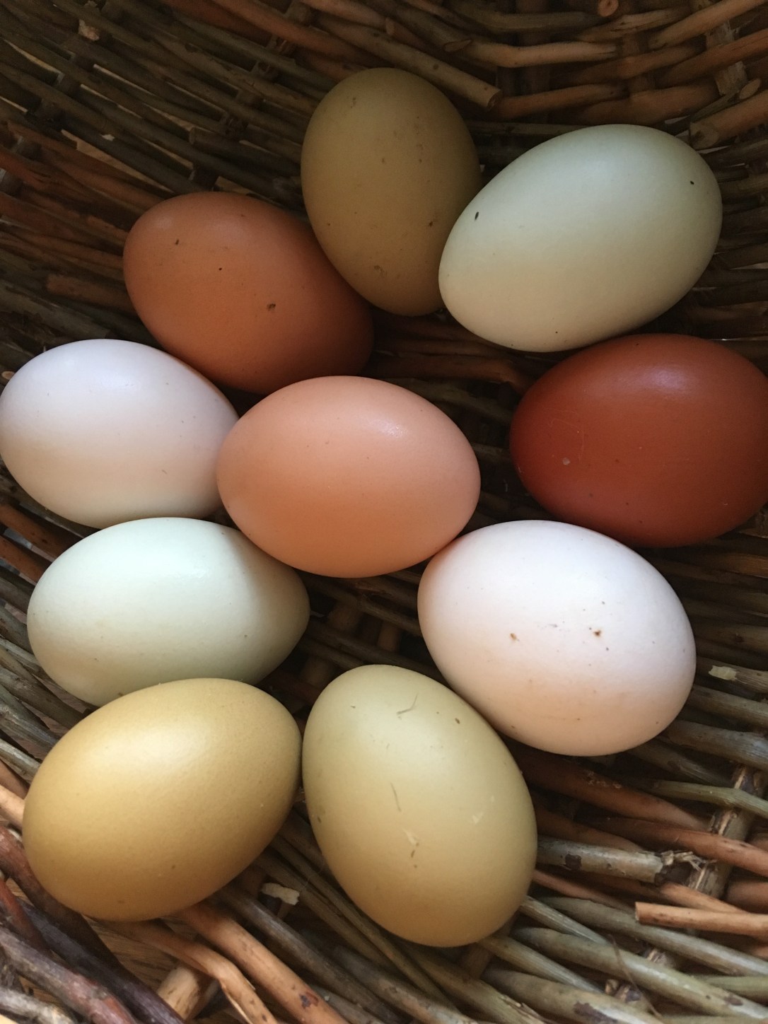 FC22145D-47BD-4183-91FF-5C585912CB9E